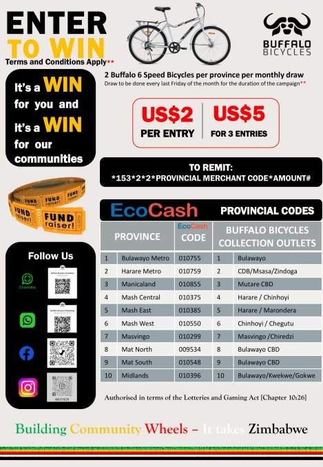 Buffalo-bikes-fundraiser-raffle-Zimtrader-email-advertising