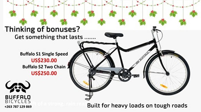 Buffalo-bikes-turn-bonus-into-value-Zimtrader-email-advertising