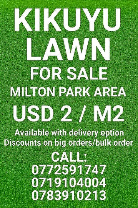 Kikuyu-Lawn-for-sale-Zimtrader-email-advertising