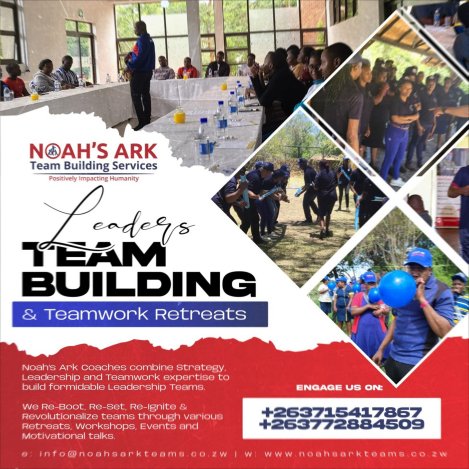 Noahs-Ark-team-building-training-services-Zimtrader-email-advertising