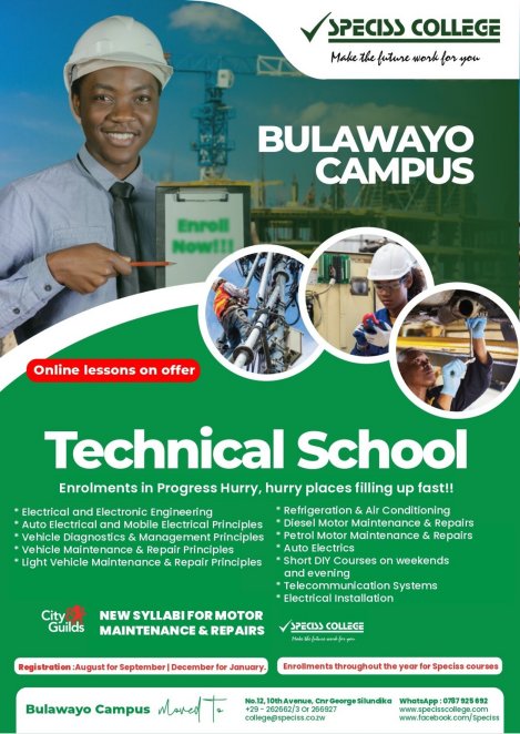 Speciss-Bulawayo-tech-school-online-courses-Zimtrader-email-advertising
