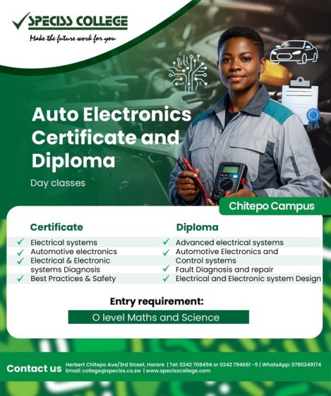 Speciss-College-auto-electronics-Zimtrader-email-advertising