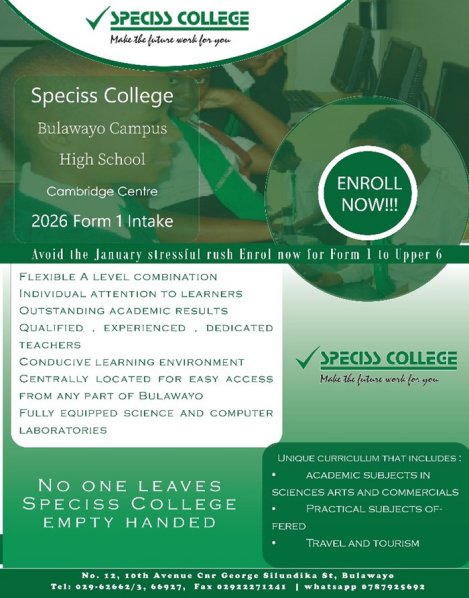 Speciss-bulawayo-form-1-intake-Zimtrader-email-advertising