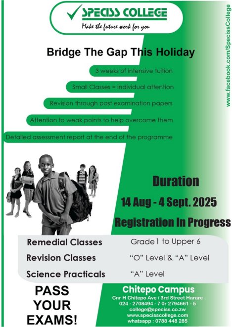 Speciss-holiday-courses-bridge-the-gap-Zimtrader-email-advertising