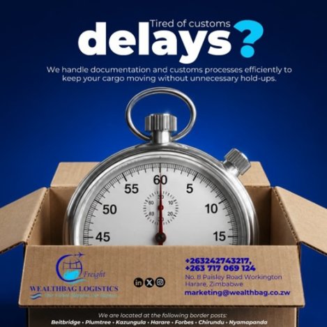 Wealthbag-logistics-tired-of-customs-delays-contact-us-Zimtrader-email-advertising-2