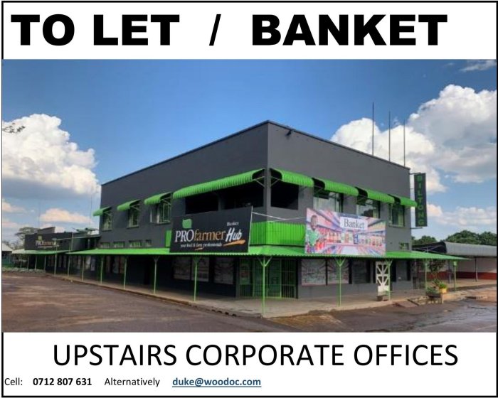 banket-office-to-let-Zimtrader-email-advertising