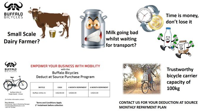 buffalo-bikes-empower-your-business-with-mobility-Zimtrader-email-advertising