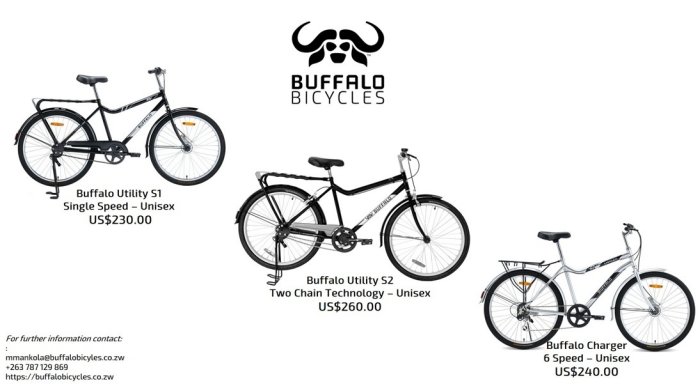 buffalo-bikes-for-strength-and-endurance-Zimtrader-email-advertising