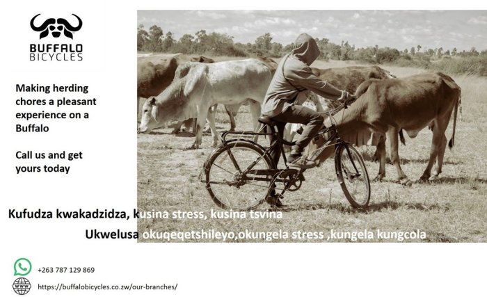 buffalo-bikes-rural-Zimtrader-email-advertising
