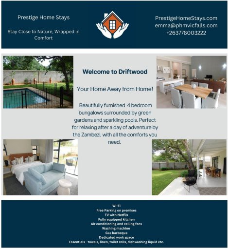 driftwood-vic-falls-Zimtrader-email-advertising