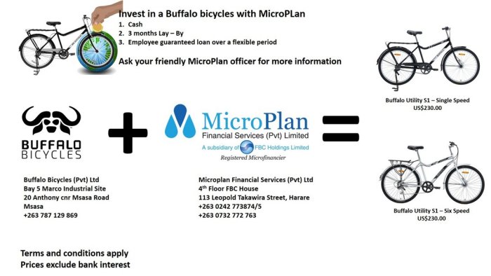 invest-in-buffalo-bicycles-with-microplan-Zimtrader-email-advertising