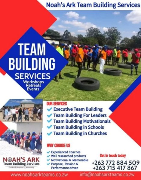 noahs-ark-team-building-services-Zimtrader-email-advertising