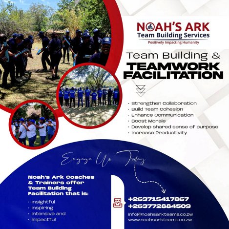 teamwork-facilitation-services-Zimtrader-email-advertising