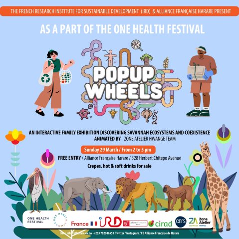 Zimtrader-whats-on-alliance-francaise-harare-popup-wheels