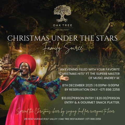 Zimtrader-whats-on-christmas-under-the-stars-with-audrey